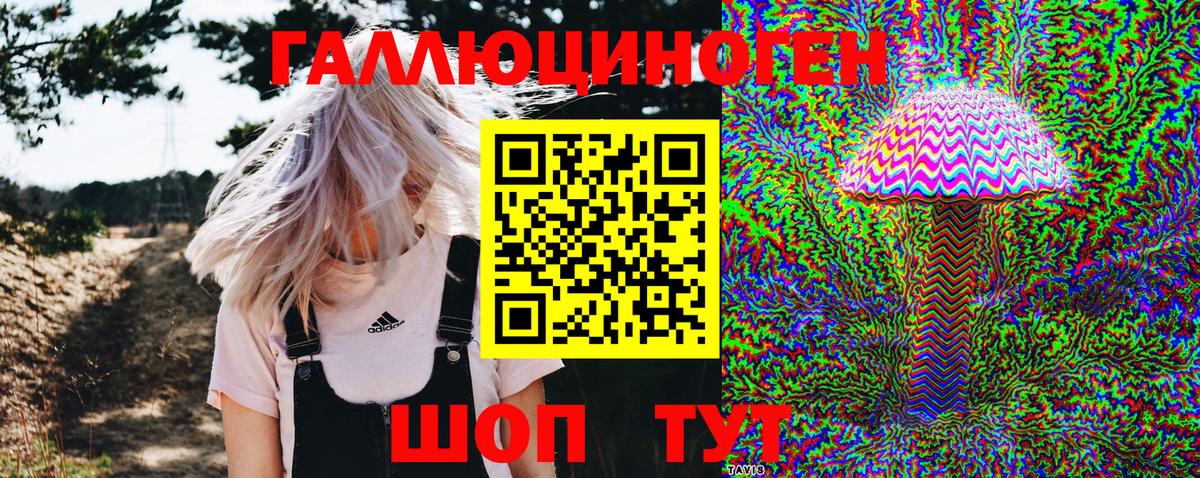 Ипатово  Псилоцибиновые грибы прущие грибы  Вход с VPN 